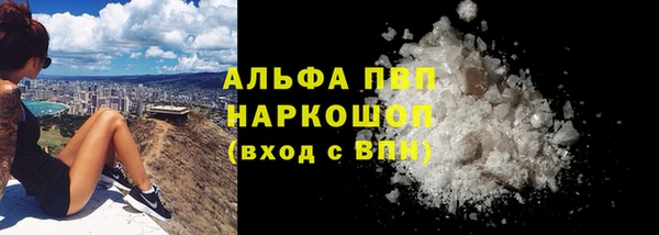 гашик Корсаков