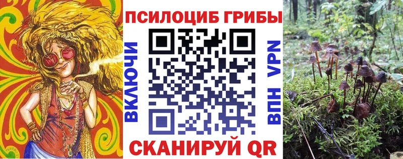 Галлюциногенные грибы ЛСД  Котельнич 
